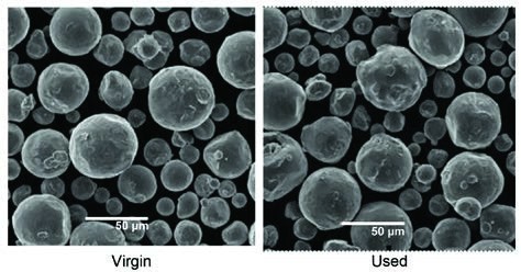 Figure 2. SEM photomicrographs (secondary electron images) of the