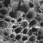 LS13320XR Particle Size Analyser Laser Diffraction Granulometer Particle Sizer