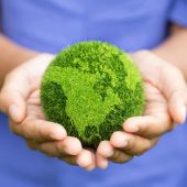 Environmental Sector