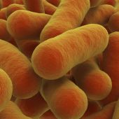 E-coli characterisation with the Multisizer 4e