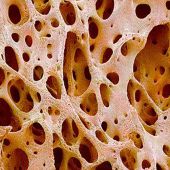 LS13320XR Particle Size Analyser Laser Diffraction Granulometer Particle Sizer