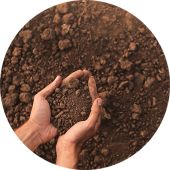 LS13320XR Particle Size Analyser Laser Diffraction Granulometer Particle Sizer