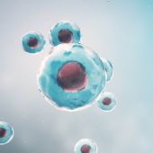 Transfection  Monitoring